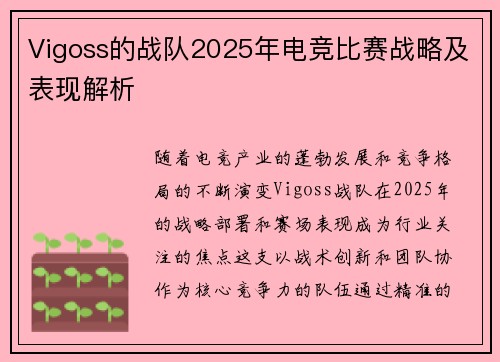 Vigoss的战队2025年电竞比赛战略及表现解析