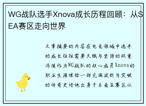 WG战队选手Xnova成长历程回顾：从SEA赛区走向世界