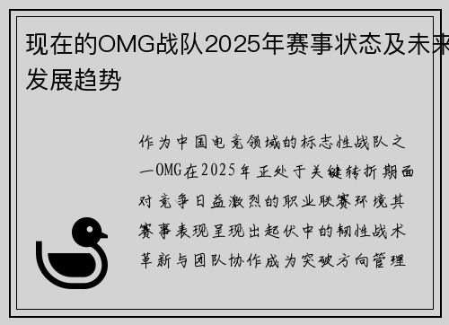现在的OMG战队2025年赛事状态及未来发展趋势